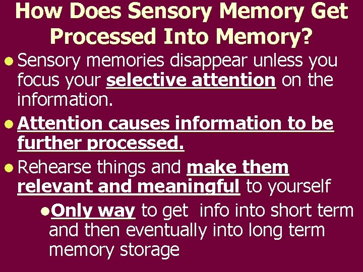 How Does Sensory Memory Get Processed Into Memory? l Sensory memories disappear unless you