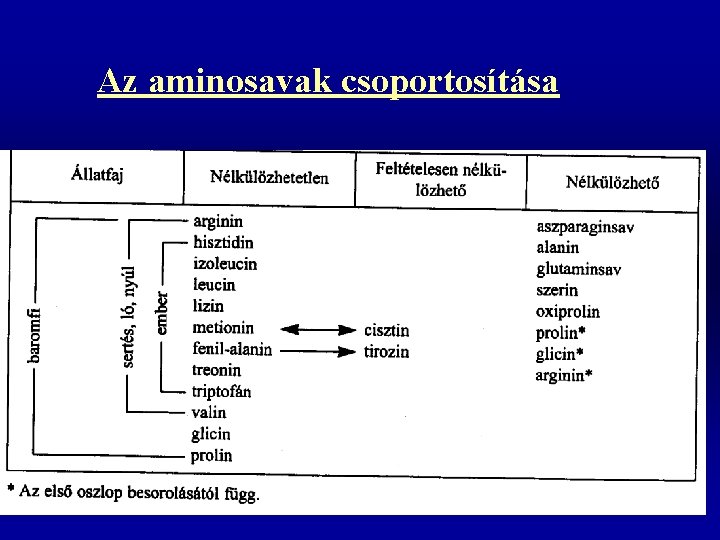 Az aminosavak csoportosítása 