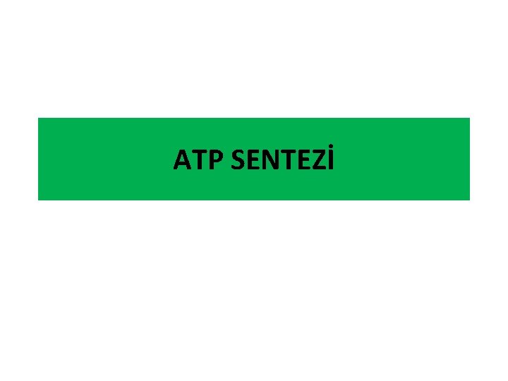 ATP SENTEZİ 