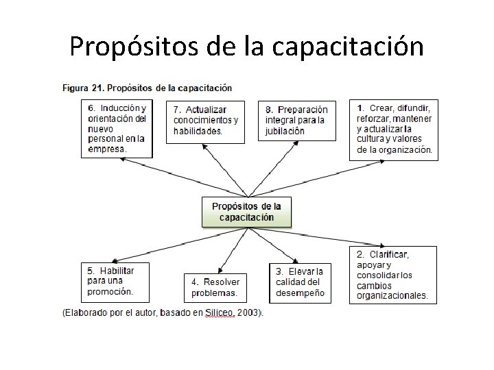 Propósitos de la capacitación 