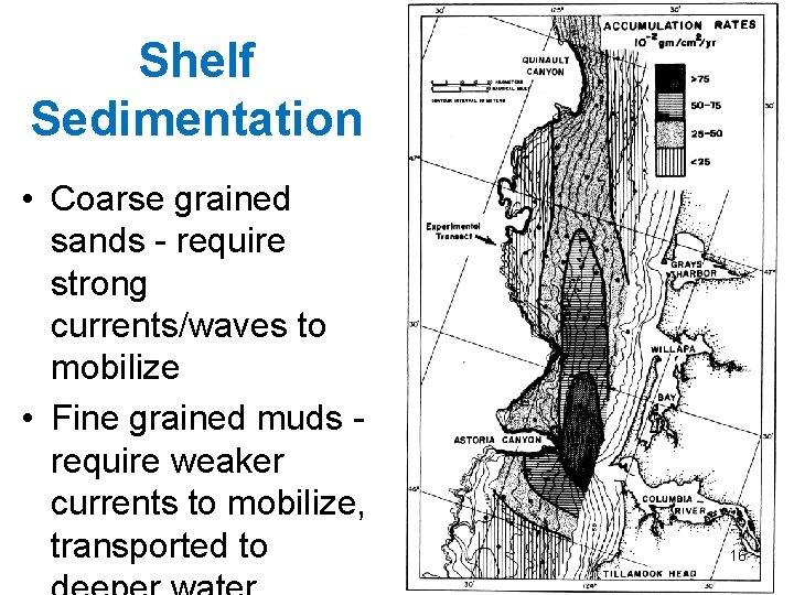 Shelf Sedimentation • Coarse grained sands - require strong currents/waves to mobilize • Fine Shelf Sedimentation • Coarse grained sands - require strong currents/waves to mobilize • Fine