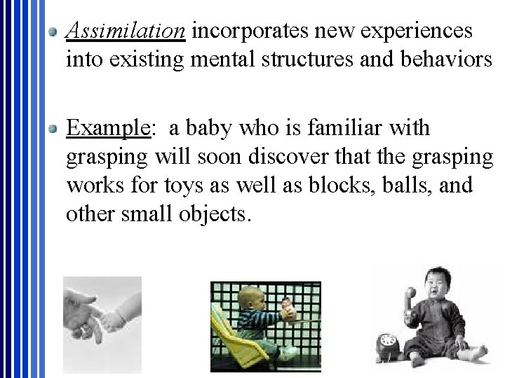 Assimilation incorporates new experiences into existing mental structures and behaviors Example: a baby who Assimilation incorporates new experiences into existing mental structures and behaviors Example: a baby who
