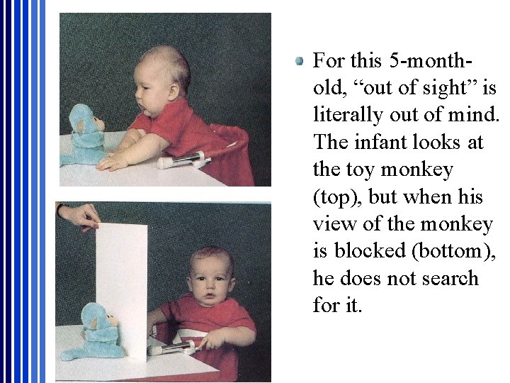 For this 5 -monthold, “out of sight” is literally out of mind. The infant For this 5 -monthold, “out of sight” is literally out of mind. The infant
