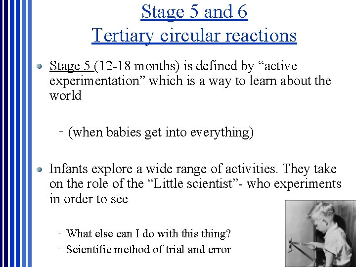 Stage 5 and 6 Tertiary circular reactions Stage 5 (12 -18 months) is defined Stage 5 and 6 Tertiary circular reactions Stage 5 (12 -18 months) is defined