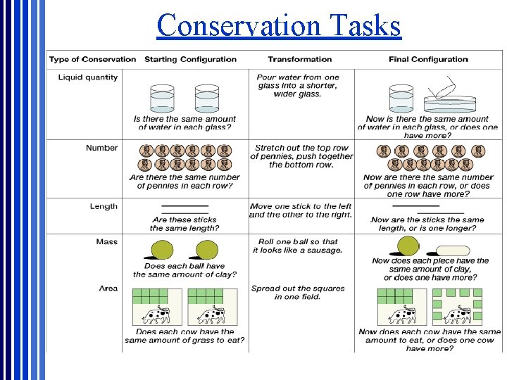 Conservation Tasks Conservation Tasks