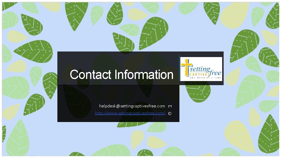 Contact Information helpdesk@settingcaptivesfree. com http: //www. settingcaptivesfree. com/ Contact Information helpdesk@settingcaptivesfree. com http: //www. settingcaptivesfree. com/