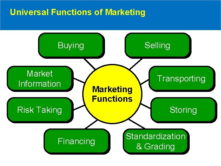 Universal Functions of Marketing Buying Market Information Selling Transporting Marketing Functions Risk Taking Financing