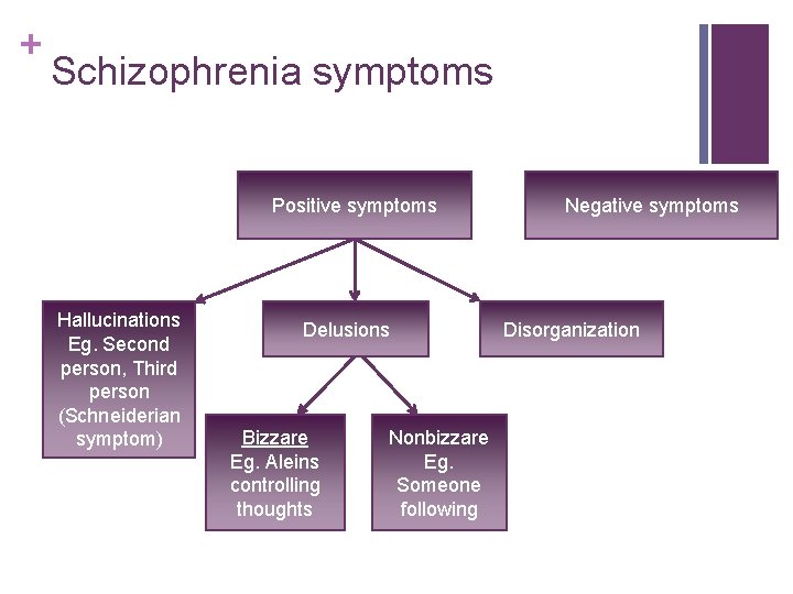 + Schizophrenia symptoms Positive symptoms Hallucinations Eg. Second person, Third person (Schneiderian symptom) Delusions