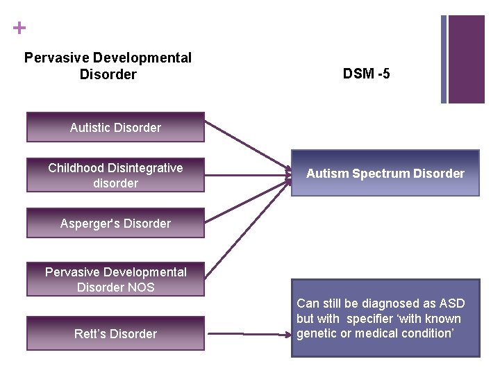 + Pervasive Developmental Disorder DSM -5 Autistic Disorder Childhood Disintegrative disorder Autism Spectrum Disorder