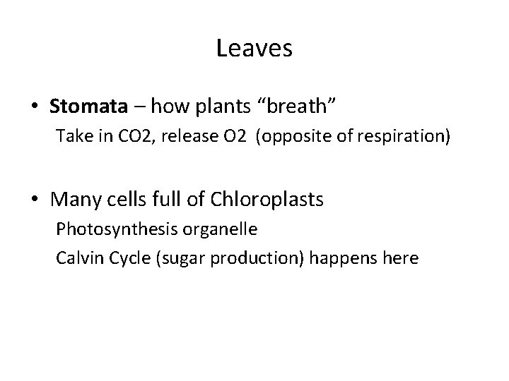 Leaves • Stomata – how plants “breath” Take in CO 2, release O 2 Leaves • Stomata – how plants “breath” Take in CO 2, release O 2