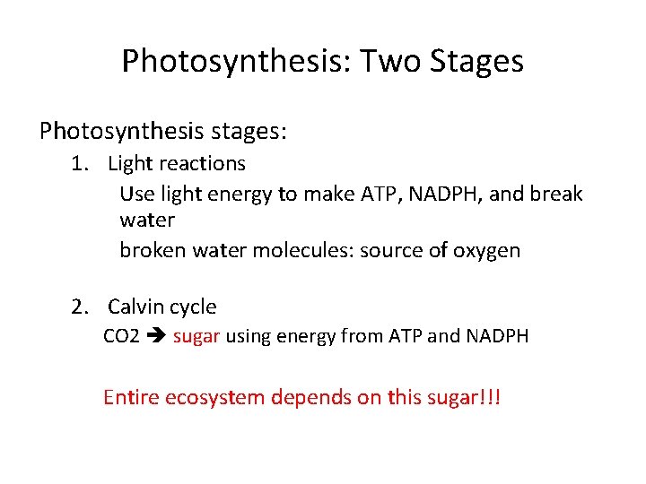Photosynthesis: Two Stages Photosynthesis stages: 1. Light reactions Use light energy to make ATP,