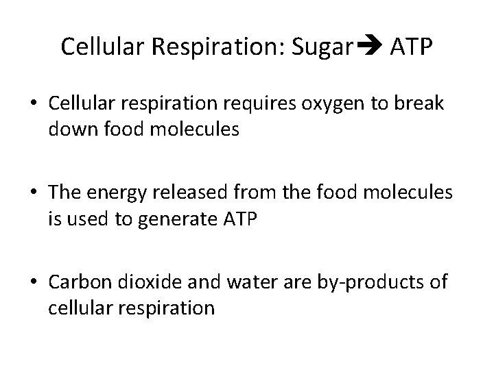 Cellular Respiration: Sugar ATP • Cellular respiration requires oxygen to break down food molecules