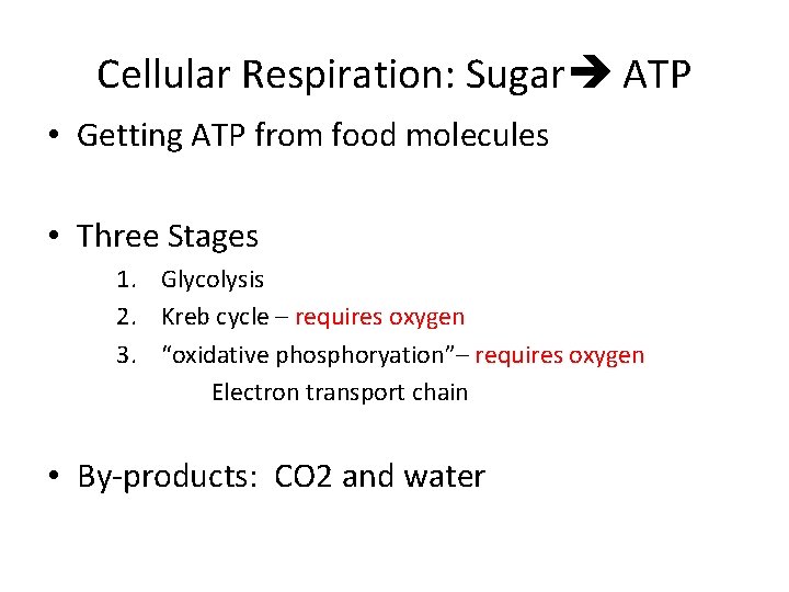 Cellular Respiration: Sugar ATP • Getting ATP from food molecules • Three Stages 1.