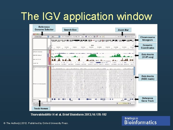 The IGV application window Thorvaldsdóttir H et al. Brief Bioinform 2013; 14: 178 -192 The IGV application window Thorvaldsdóttir H et al. Brief Bioinform 2013; 14: 178 -192