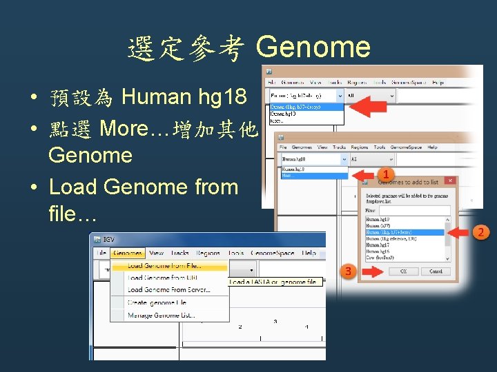 選定參考 Genome • 預設為 Human hg 18 • 點選 More…增加其他 Genome • Load Genome 選定參考 Genome • 預設為 Human hg 18 • 點選 More…增加其他 Genome • Load Genome