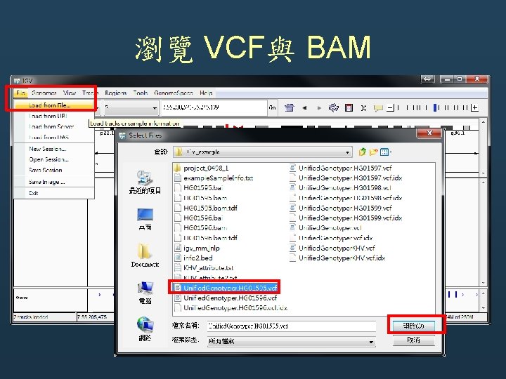 瀏覽 VCF與 BAM 瀏覽 VCF與 BAM