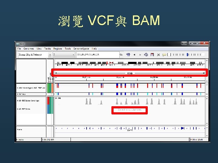 瀏覽 VCF與 BAM 瀏覽 VCF與 BAM
