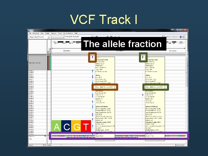 VCF Track I The allele fraction A CGT VCF Track I The allele fraction A CGT