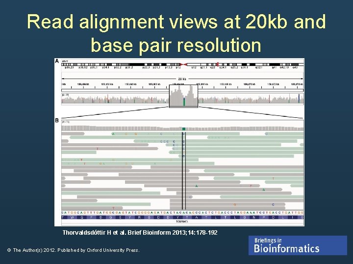 Read alignment views at 20 kb and base pair resolution Thorvaldsdóttir H et al. Read alignment views at 20 kb and base pair resolution Thorvaldsdóttir H et al.