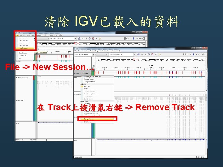 清除 IGV已載入的資料 File -> New Session… 在 Track上按滑鼠右鍵 -> Remove Track 清除 IGV已載入的資料 File -> New Session… 在 Track上按滑鼠右鍵 -> Remove Track