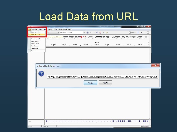 Load Data from URL Load Data from URL