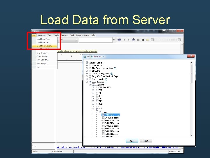 Load Data from Server Load Data from Server