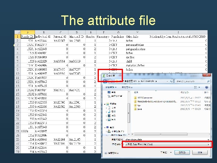 The attribute file • a tab-delimited text file The attribute file • a tab-delimited text file