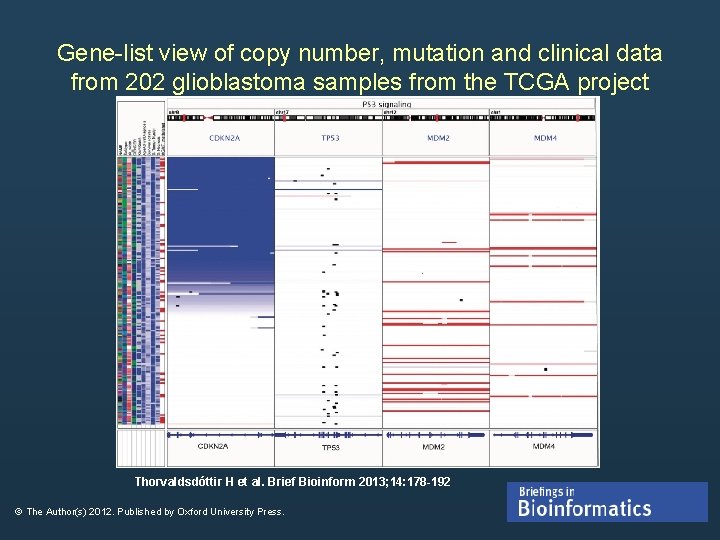 Gene-list view of copy number, mutation and clinical data from 202 glioblastoma samples from Gene-list view of copy number, mutation and clinical data from 202 glioblastoma samples from