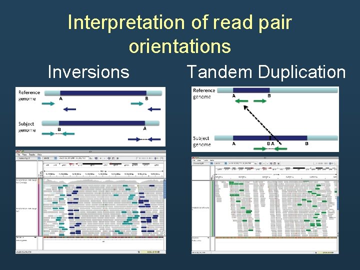 Interpretation of read pair orientations Inversions Tandem Duplication Interpretation of read pair orientations Inversions Tandem Duplication