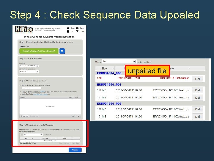 Step 4 : Check Sequence Data Upoaled unpaired file Step 4 : Check Sequence Data Upoaled unpaired file