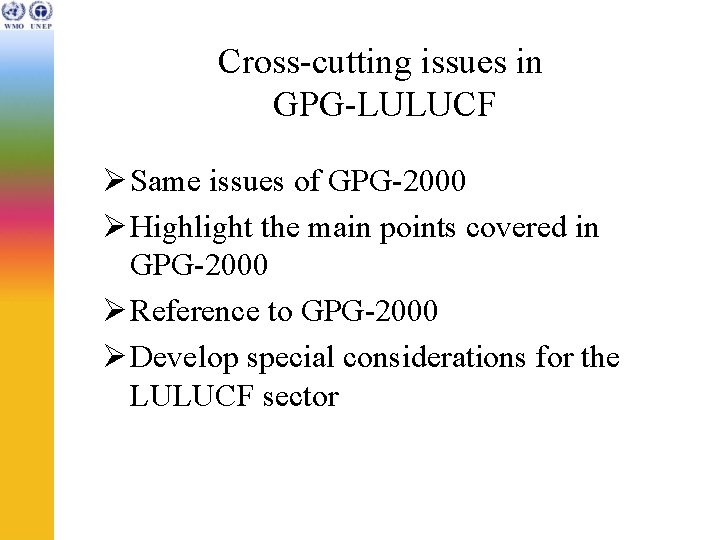 Cross-cutting issues in GPG-LULUCF Ø Same issues of GPG-2000 Ø Highlight the main points
