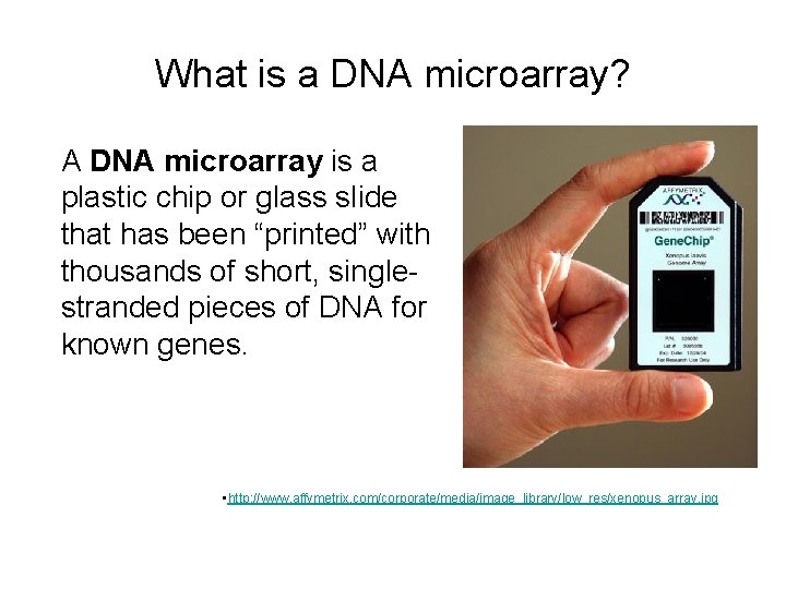 What is a DNA microarray? A DNA microarray is a plastic chip or glass