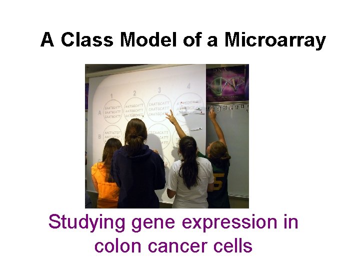 A Class Model of a Microarray Studying gene expression in colon cancer cells 