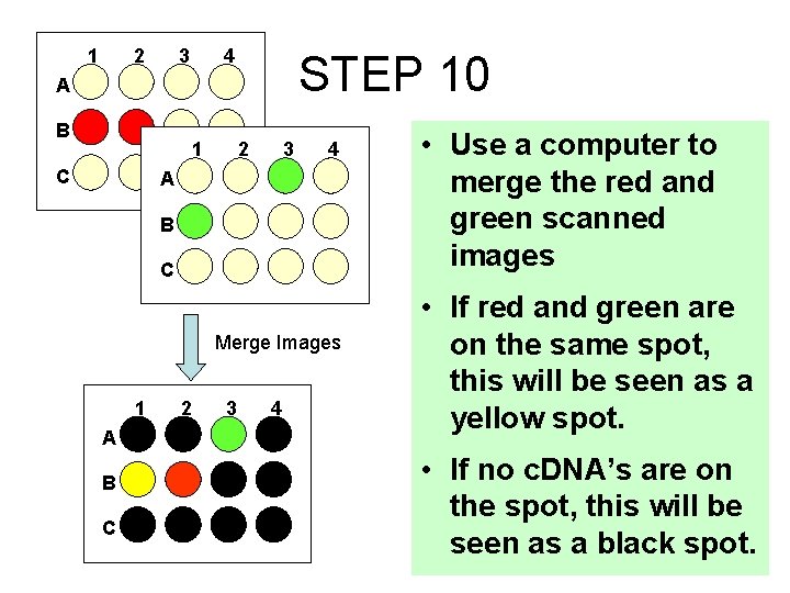 1 2 4 3 STEP 10 A B 1 C 2 3 4 A