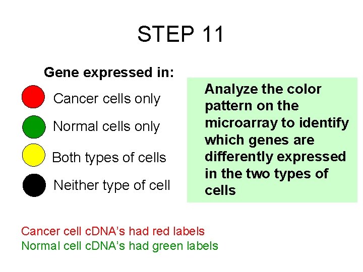 STEP 11 Gene expressed in: Cancer cells only Normal cells only Both types of