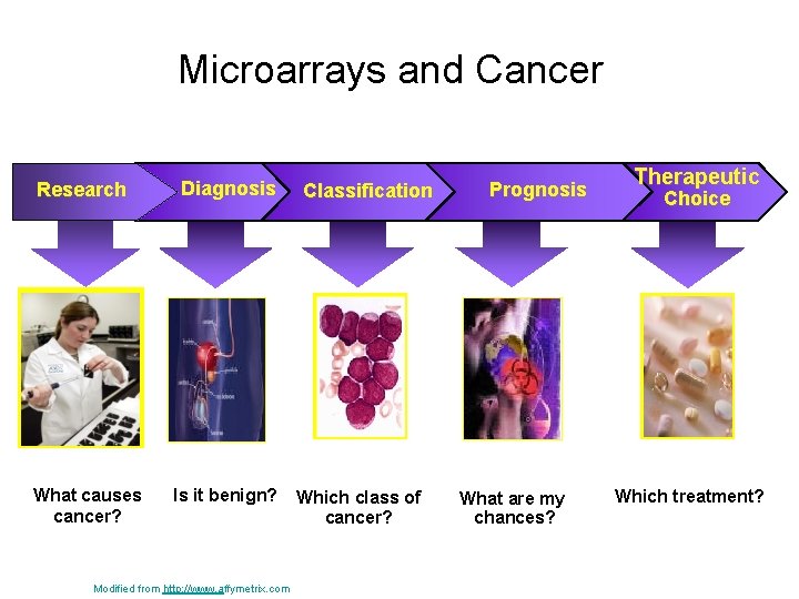 Understanding Cancer Microarrays and Cancer Research What causes cancer? Diagnosis Is it benign? Modified