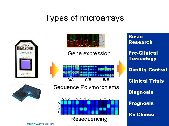 Types of microarrays Multiple Formats Multiple Questions Multiple Apps Basic Research Expression Variability Gene