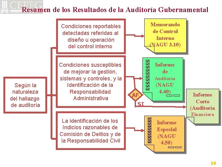 Resumen de los Resultados de la Auditoría Gubernamental Según la naturaleza del hallazgo de