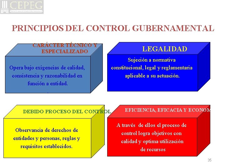 PRINCIPIOS DEL CONTROL GUBERNAMENTAL CARÁCTER TÉCNICO Y ESPECIALIZADO Opera bajo exigencias de calidad, consistencia