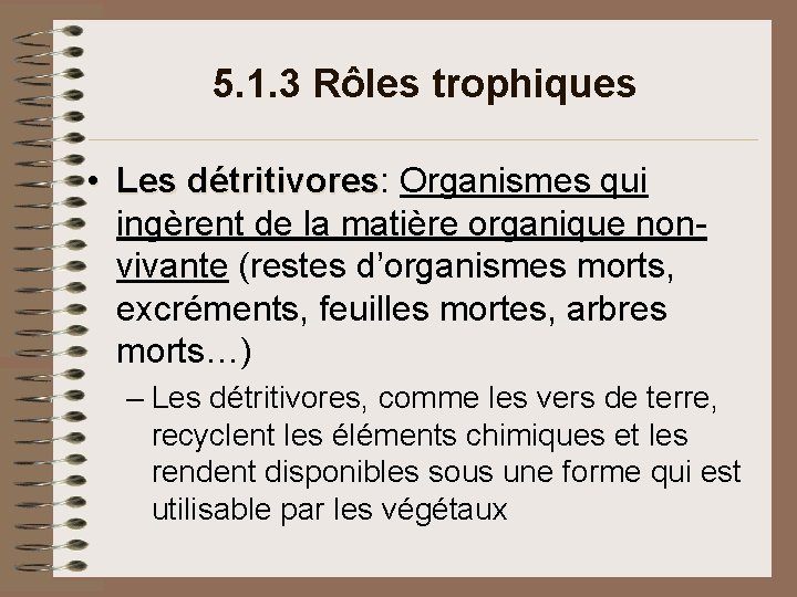 5. 1. 3 Rôles trophiques • Les détritivores: Organismes qui détritivores ingèrent de la 5. 1. 3 Rôles trophiques • Les détritivores: Organismes qui détritivores ingèrent de la