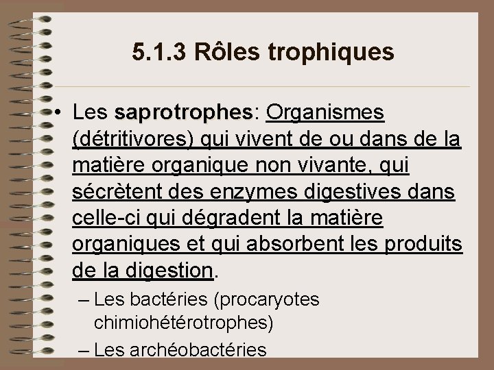 5. 1. 3 Rôles trophiques • Les saprotrophes: Organismes saprotrophes (détritivores) qui vivent de 5. 1. 3 Rôles trophiques • Les saprotrophes: Organismes saprotrophes (détritivores) qui vivent de