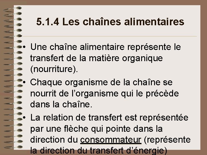 5. 1. 4 Les chaînes alimentaires • Une chaîne alimentaire représente le transfert de 5. 1. 4 Les chaînes alimentaires • Une chaîne alimentaire représente le transfert de