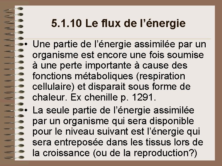 5. 1. 10 Le flux de l’énergie • Une partie de l’énergie assimilée par 5. 1. 10 Le flux de l’énergie • Une partie de l’énergie assimilée par