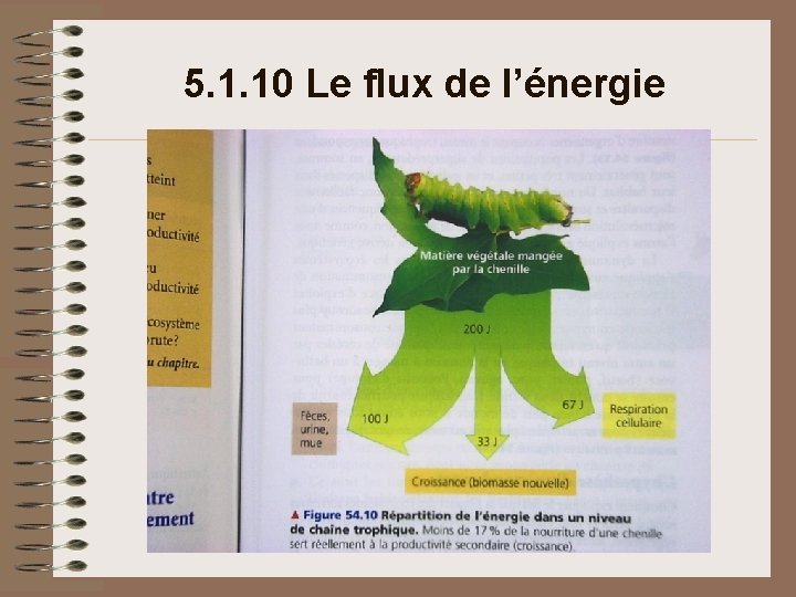 5. 1. 10 Le flux de l’énergie 5. 1. 10 Le flux de l’énergie