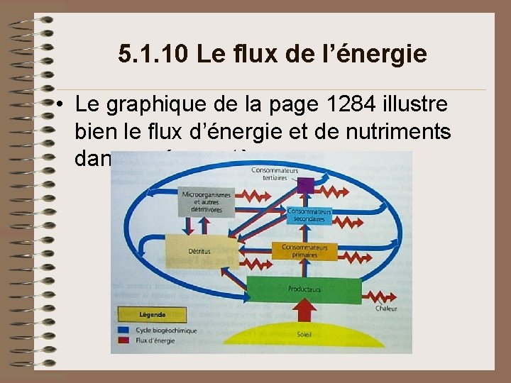 5. 1. 10 Le flux de l’énergie • Le graphique de la page 1284 5. 1. 10 Le flux de l’énergie • Le graphique de la page 1284