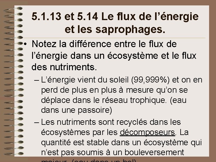 5. 1. 13 et 5. 14 Le flux de l’énergie et les saprophages. • 5. 1. 13 et 5. 14 Le flux de l’énergie et les saprophages. •