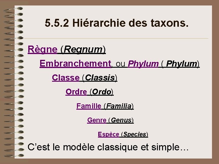 5. 5. 2 Hiérarchie des taxons. Règne (Regnum) Embranchement, ou Phylum ( Phylum) Classe 5. 5. 2 Hiérarchie des taxons. Règne (Regnum) Embranchement, ou Phylum ( Phylum) Classe