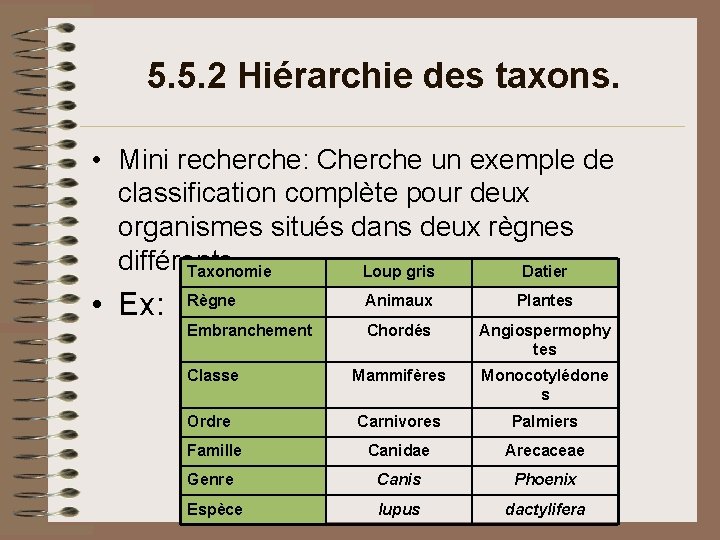 5. 5. 2 Hiérarchie des taxons. • Mini recherche: Cherche un exemple de classification 5. 5. 2 Hiérarchie des taxons. • Mini recherche: Cherche un exemple de classification