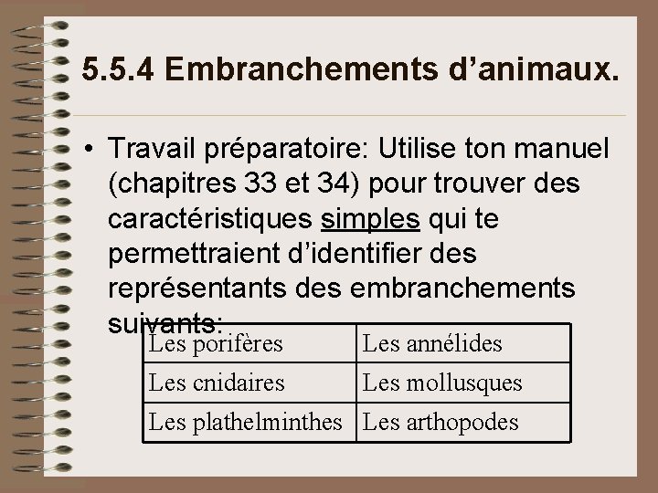 5. 5. 4 Embranchements d’animaux. • Travail préparatoire: Utilise ton manuel (chapitres 33 et 5. 5. 4 Embranchements d’animaux. • Travail préparatoire: Utilise ton manuel (chapitres 33 et