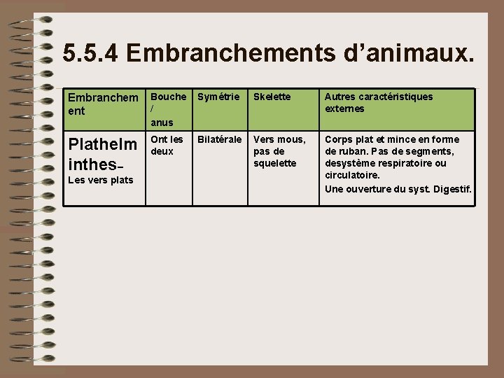 5. 5. 4 Embranchements d’animaux. Embranchem ent Bouche / anus Symétrie Skelette Autres caractéristiques 5. 5. 4 Embranchements d’animaux. Embranchem ent Bouche / anus Symétrie Skelette Autres caractéristiques